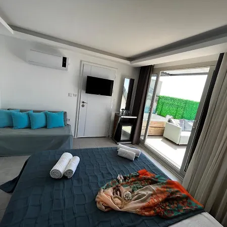 Mavi Panorama فيلة