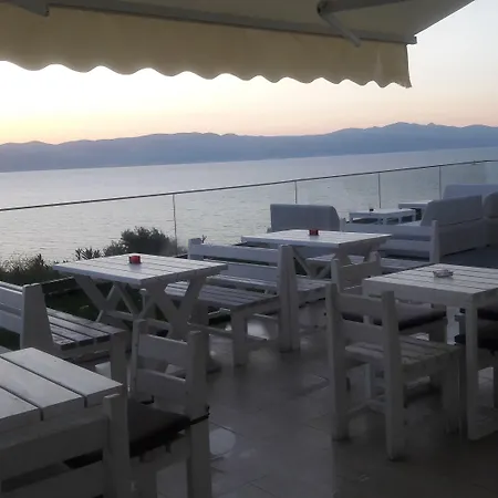 Mavi Panorama فيلة *