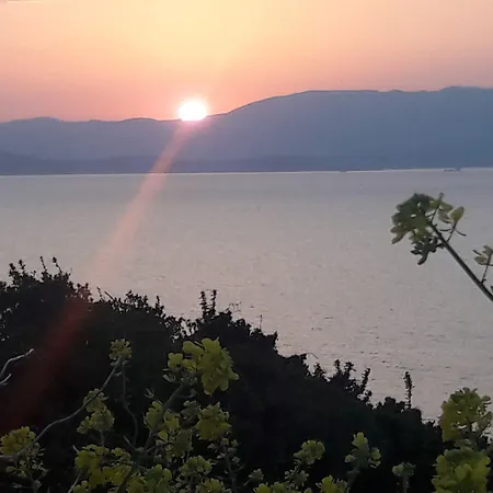 Mavi Panorama فيلة *