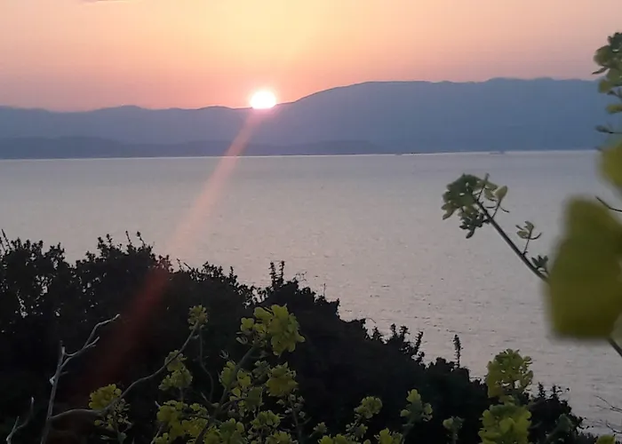 Mavi Panorama فيلة *